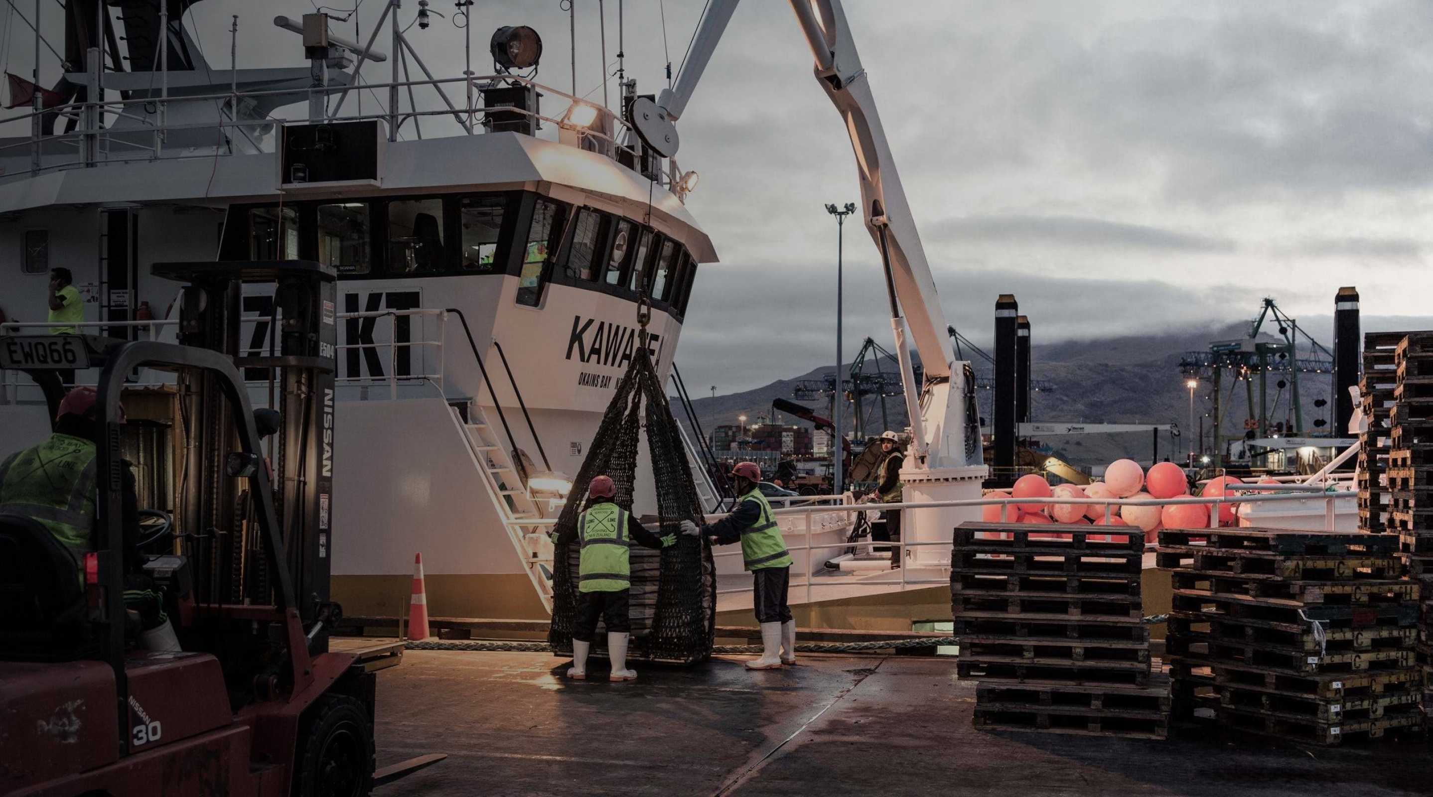 Pot Fishing Okains Bay Seafood